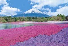 300 Pieces ” Fuji with flowers ” Japanese Jigsaw Puzzle